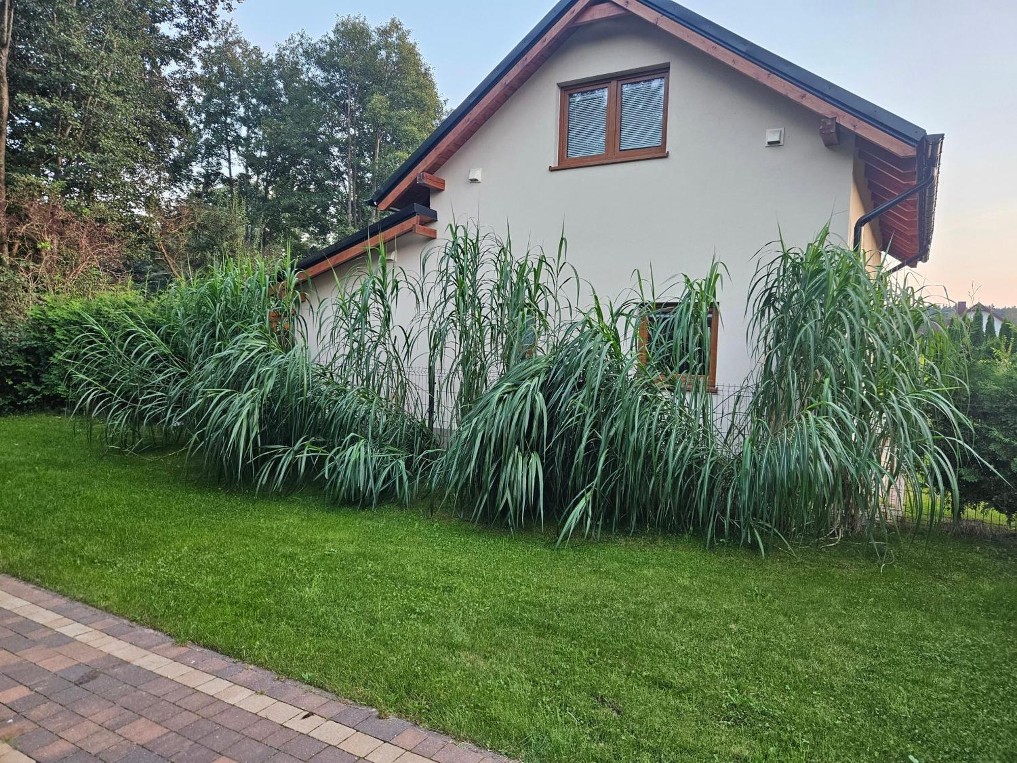 Osada Cztery Pory Roku - Dom Jesien Villa Kopalino Kültér fotó